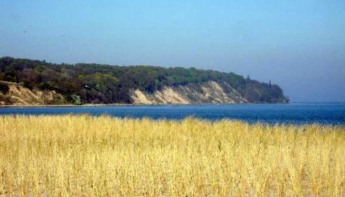 Rügen-Fewo 241 - Foto 4