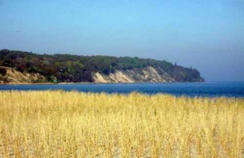 Rügen-Fewo 241 - Foto 4