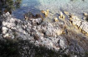 Eco Secluded apartments Zabodarski - Foto 9