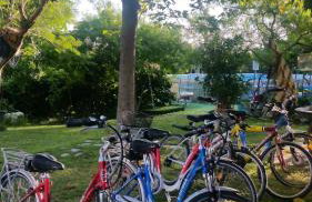 Alexandra Homestay - Foto 18