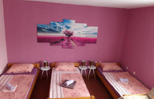 Studio apartman CENTAR - Foto 16