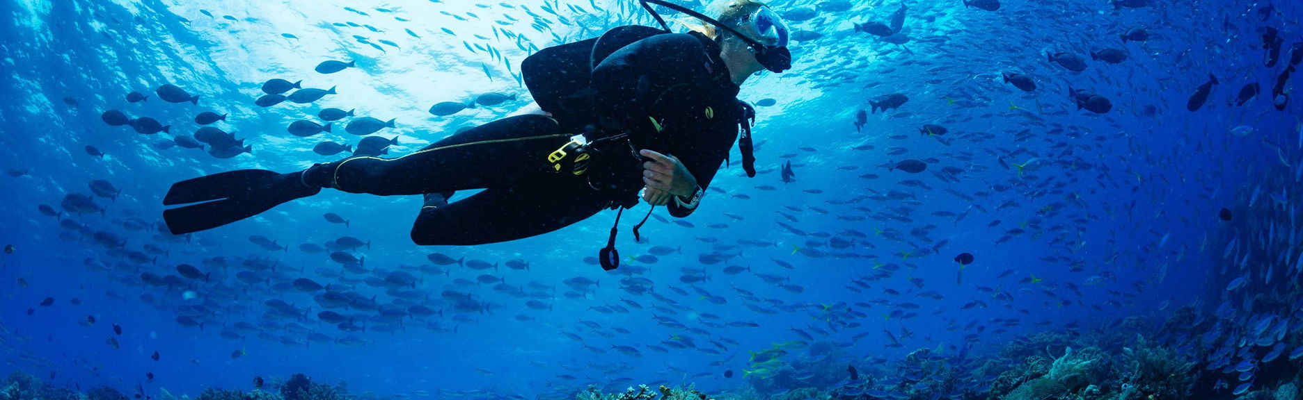 Bohol Scuba Diving - Foto 1