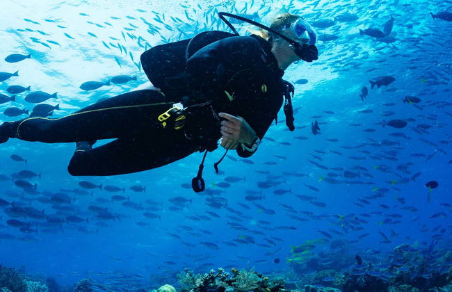 Curso de buceo PADI Open Water - Foto 6