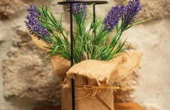 Casa do Parente - Foto 21