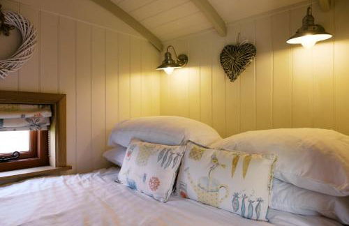 Shepherd's Hut- Hot Tub- Wellness Spa- Wood Burner - Foto 18