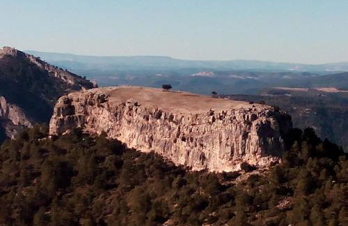 La caseta de Pedris - Foto 41