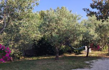 Delux apartments Villa Mihaela - Foto 39