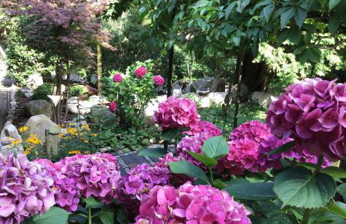 Haus am See - Foto 30