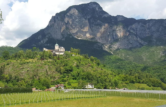 Masetto Egidio Agritur - Foto 45