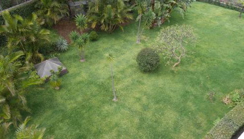 Jasmineiro - Palms Palace Apartment - Foto 4, Garden