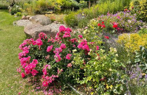 Reethaus Vilmnitz - Ferienwohnung Goor - Foto 31