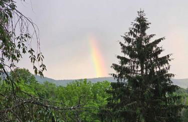 Vinewood Estate & Adventures - Foto 23