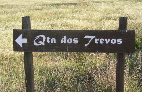 Quinta dos Trevos - Artes e Ofícios - Foto 33
