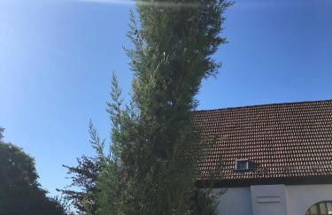 Tor zum Pfälzerwald - Foto 22