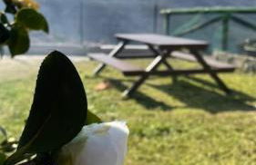 El Balcón de Urbiés - Foto 42