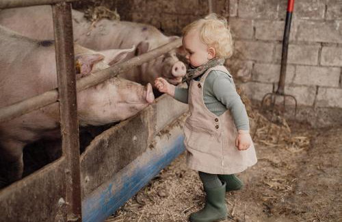 Ferienhaus Spieker - Hof Brockmann - Foto 23