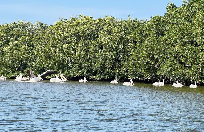 Excursión privada al delta del Salum - Foto 2
