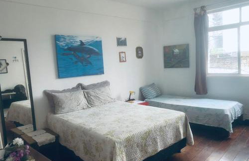 BARRA - 3 Quartos / 3 Banheiros - Amplo, Aconchegante e Artesanal - Foto 10