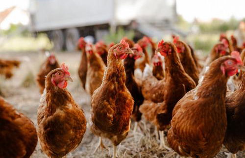 Achter de Höf Whg 2 - Foto 35