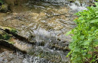 Domki letniskowe pod Brzozami Stella - Photo 5