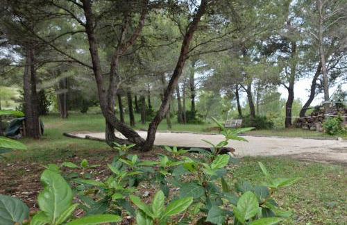 La Pinède du Barroux - Foto 33