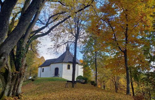 Ferienwohnung am Pinzigberg - Foto 29
