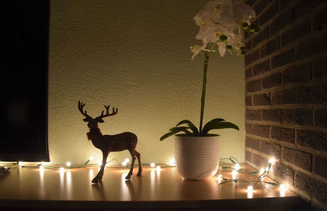 Lush Holiday Home on the Edge of the Hautes Fagnes - Foto 35