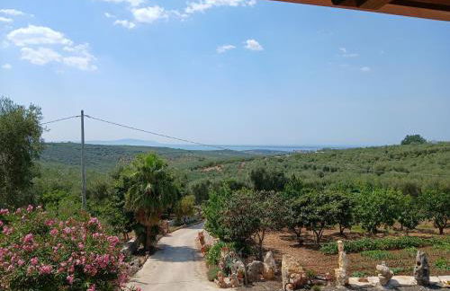 La Casa Del Nonno - Foto 13