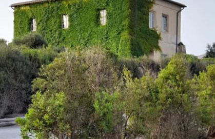 Casa Vacanze Capalbio - Foto 19