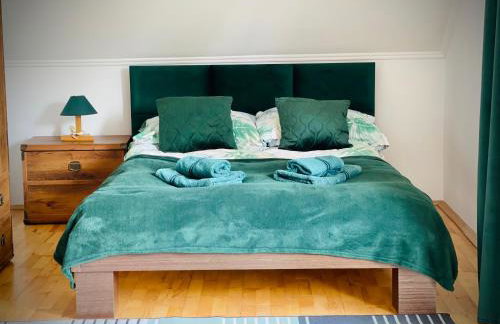 Polańczyk Dom, Apartamenty - Leśny Domek Polańczyk - Photo 19