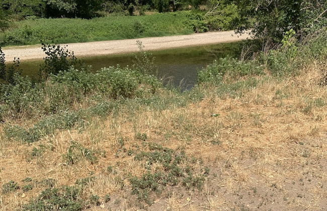 La Magnanerie appartement st ambroix - Foto 14