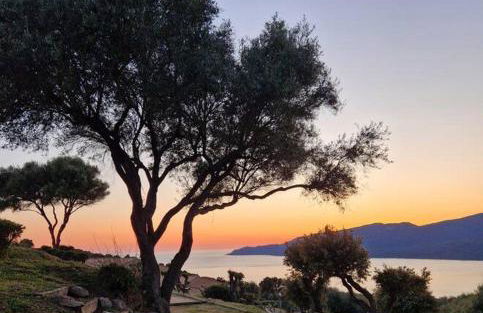 Mini Villa 69 - Piscine chauffée - Foto 12