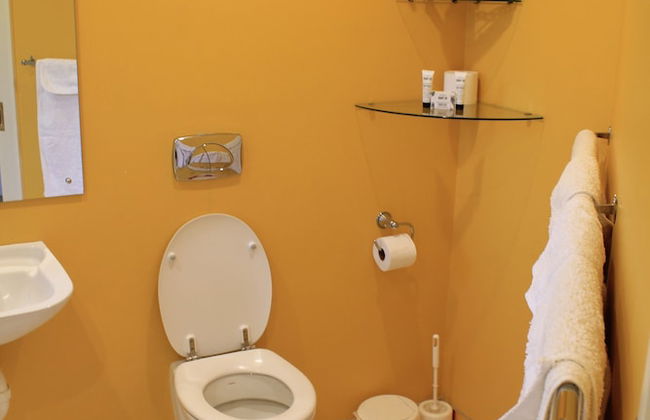 Silverstream Alpaca Farmstay and Tour - Foto 11