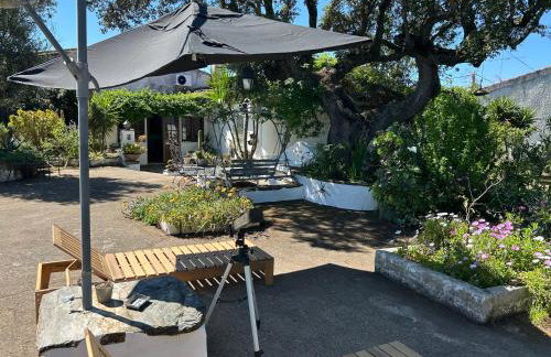Casa Melissa - Photo 37