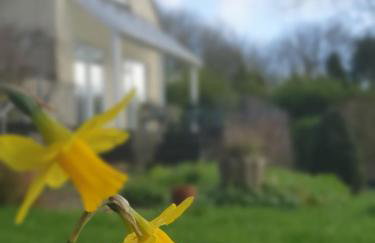 Escape to Pembrokeshire - charming spacious cottage - Foto 34
