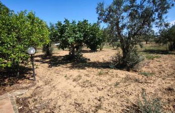 Cascina Vittorio, Relax in campagna con barbecue vicino Gallipoli - Foto 62