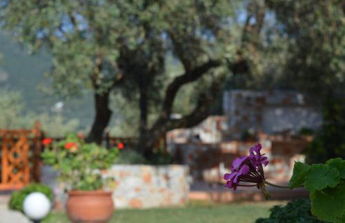 Remvi Apartments - Foto 18