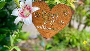 Ferienwohnung-Birlenbach - Foto 3