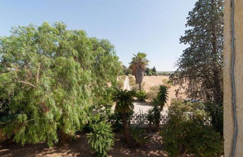 Casina Grassi In Salento - Foto 16