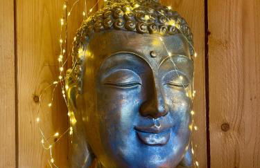 O et Terre, gite ressourcement bains spa cryo sauna et foret - Foto 26