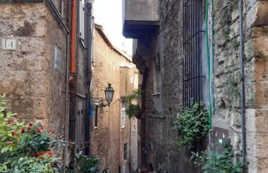 Historical Domus - Foto 33