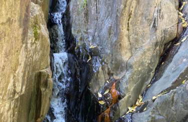 Casas Rurales Prunus avium - Photo 40