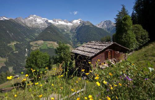 XL Appartements Steinhaus - Photo 34