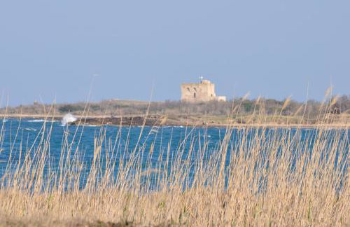 Masseria Le Terrazze di Serranova - Foto 50