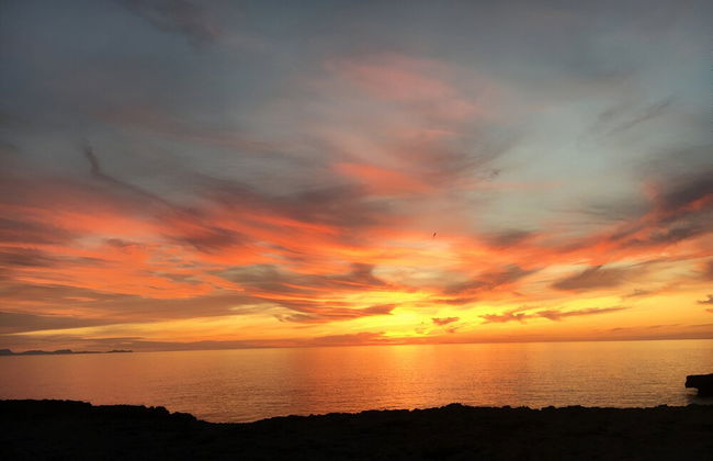 Apartamentos Ciutadella - Foto 40