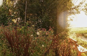 Waterlodge Ljurk in Nes - Foto 14