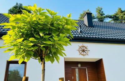 Palma de Masuria Ekskluzywny Dom na wyłączność - Foto 46