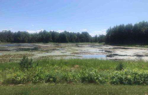 Woodsy and Private- Rustic Cabin - Foto 20