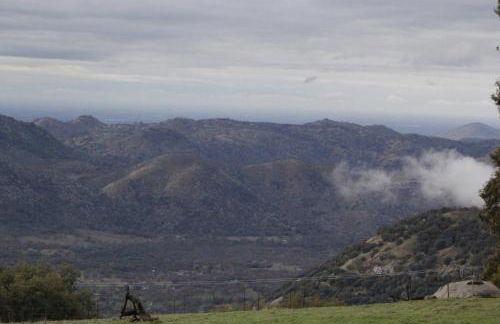 Hummingbird Hill - Entire Cabin - Foto 44