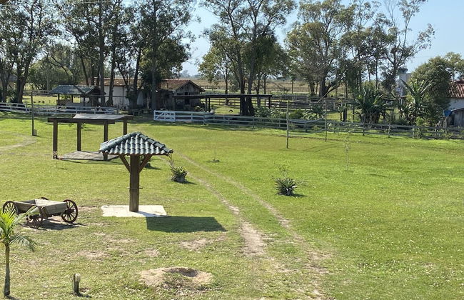 Haras Trevo de Ferro - Photo 31